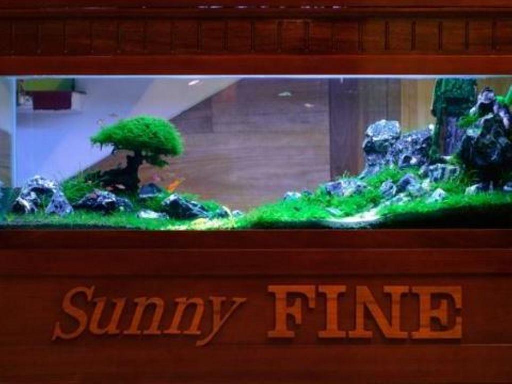 Sunny Fine Guesthouse Hue Bagian luar foto